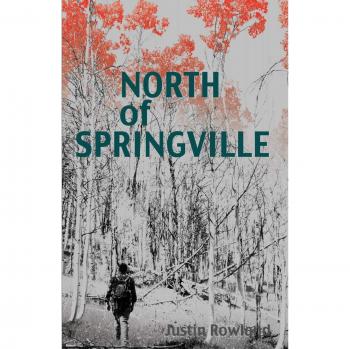North of Springville