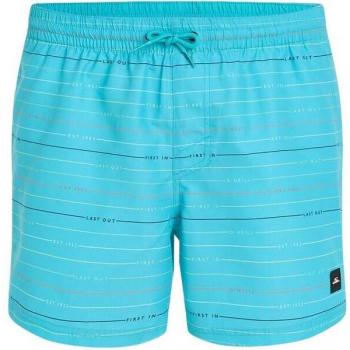 O'Neill Jack O'Neill Cali First 15 Swim Shorts Herren Blau S