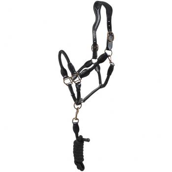 Harnais en cuir noir avec longe Hansbo Sport (Taille complète)