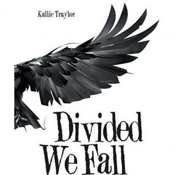 Divided We Fall