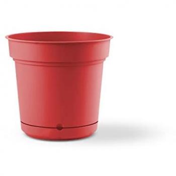 Teraplast Hydral 38 Scarlett Vaso Tondo