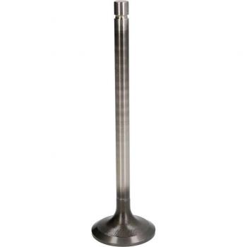 TRW Universal Einlassventil 48335
