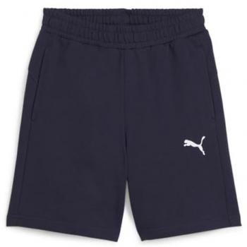 Puma Trainingsshorts für Kinder teamGOAL 116