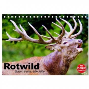 Rotwild. Edle Hirsche stolze Kühe (Tischkalender 2024 DIN A5 quer) CALVENDO Monatskalender
