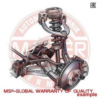 Supporto Assale 34073 Master Sport