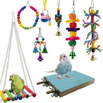 Juguetes de Roedura para Loros