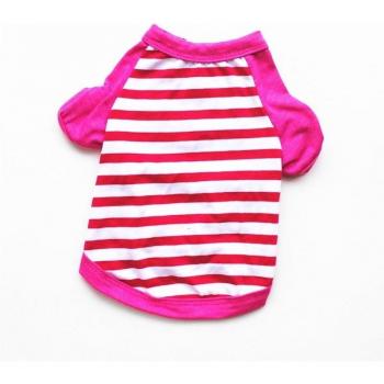 Yorkshire Terrier Summer Clothes