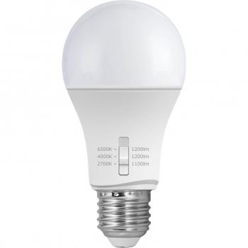 Fumagalli Bombilla E27 A60 11W CCT regulable (2,700–6,500K)