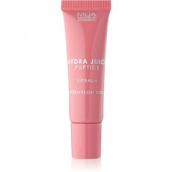 Bálsamo Labial Hydra Juice Melón Sorbet 10 ml – Hidratación y Brillo