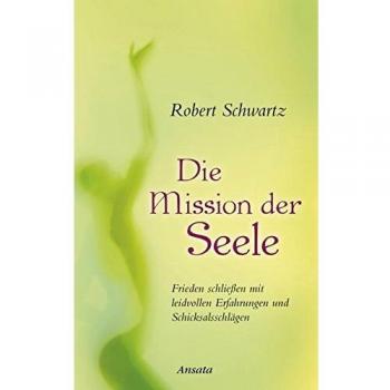 Die Mission der Seele: Frieden schließen mit leidvollen Erfahrungen und Schicksalsschlägen