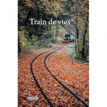 Train de vies