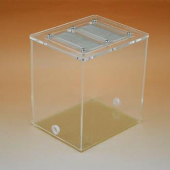Contenedor de alimentación para hormigas