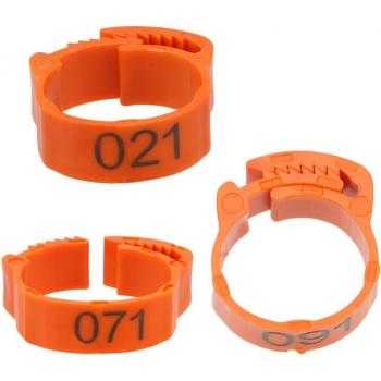 Poultry Digital Label Buckle Ring Set (100 Pieces)