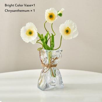 Home Decoration Glass Vase