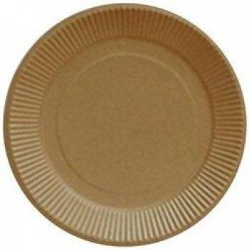 Plato de barbacoa desechable