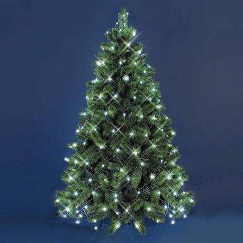 Albero Natalizio: Mantello Rete 240 LED Bianco Freddo 2,10 m