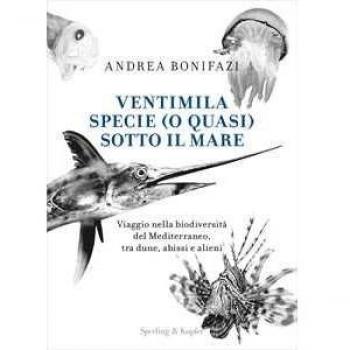 Ventimila specie (o quasi) sotto il mare. Viaggio nella biodivers...