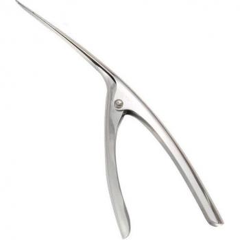 Utensilio Cocina Creativo Marisco