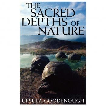 The Sacred Depths of Nature