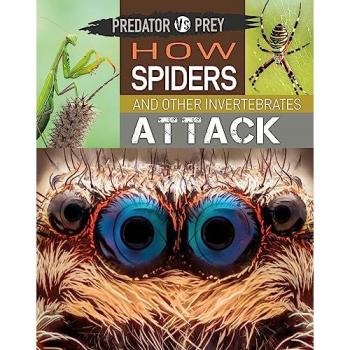 Predator vs Prey: How Spiders and other Invertebrates Attack