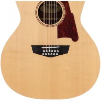 DAngelico Premier Fulton Natur Classic