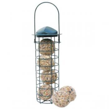 Tuyau Boule Grasse Vert – CJ Wildlife
