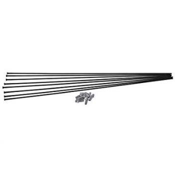 Kit Raggi H 1900 Spline 29 di DT Swiss