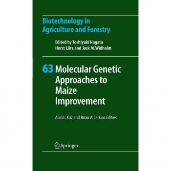 Molecular Genetic Approaches to Maize Improvement