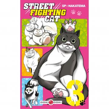 Street Fighting Cat
