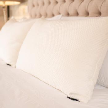 Pillow Protector Case 2 Pack With Zip Closure