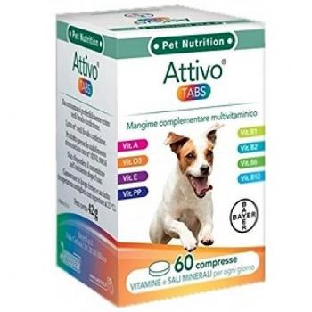 ATTIVO TABS 60TAV VET