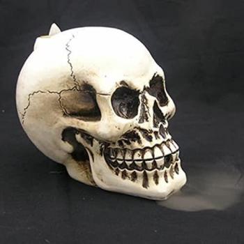 Skull Design Backflow Incense Burner