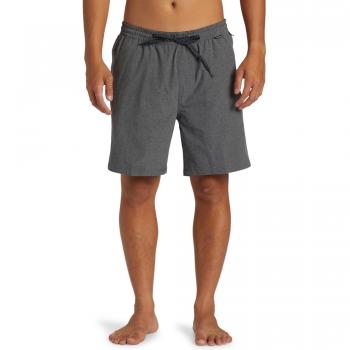 Quiksilver Taxer Amph 18 Herren Shorts Schwarzer Farbton