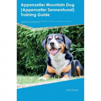 Appenzeller Mountain Dog