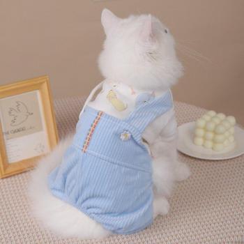 HOOPET Chihuahua Cat Costume