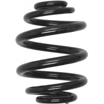 Lesjöfors 5204249 Fahrwerksfeder VAG