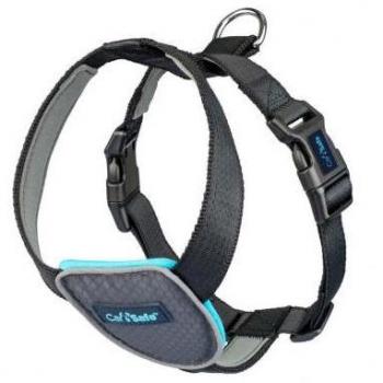 PetShield RoadSafe Dog Harness