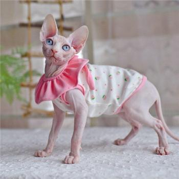 Sphynx Cat Summer Sleeveless Dress