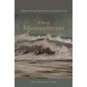 Vitalsource Technologies, Inc. A Sea Of Misadventures