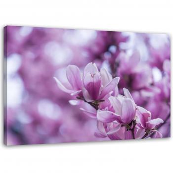 60x40 Violet Magnolia Wall Decor Canvas