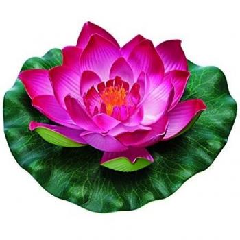 Nénuphar décoratif rouge pondolily – modèle Pontec