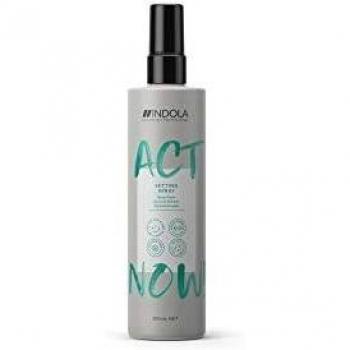 INDOLA ACT NOW SETTING SPRAY 200 ml / 6.70 Fl.Oz