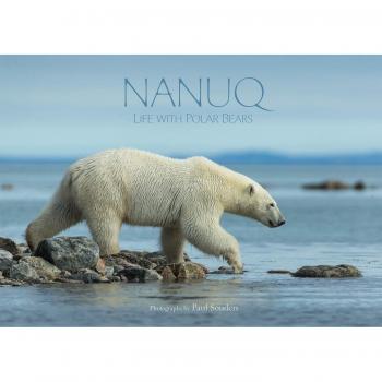 Nanuq Life with Polar Bears by By photographer Paul Souders