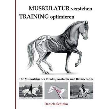 Muskulatur verstehen