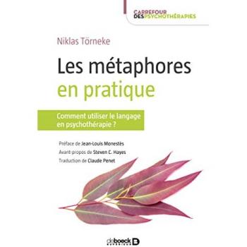 Les métaphores en pratique : comment utiliser le langage en psychothérapie ?