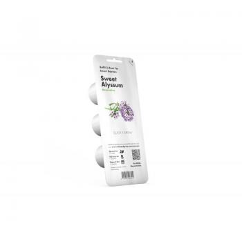 Erba Beach Silverweed 3 Semi (Click & Grow)