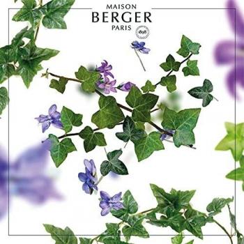 Maison Berger Lampe Berger Lolita 500ml