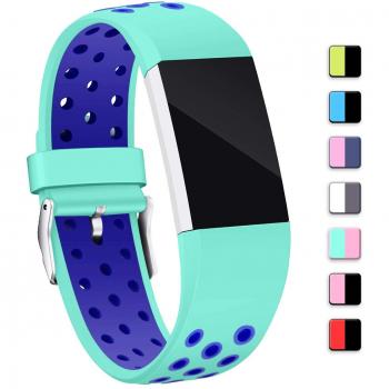 Soft TPU Adjustable Fitbit Charge 2 Strap