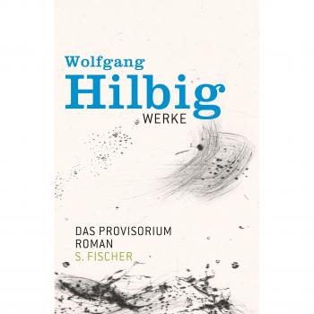 Werke Band 6: Das Provisorium