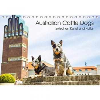 Australian Cattle Dogs zwischen Kunst und Kultur